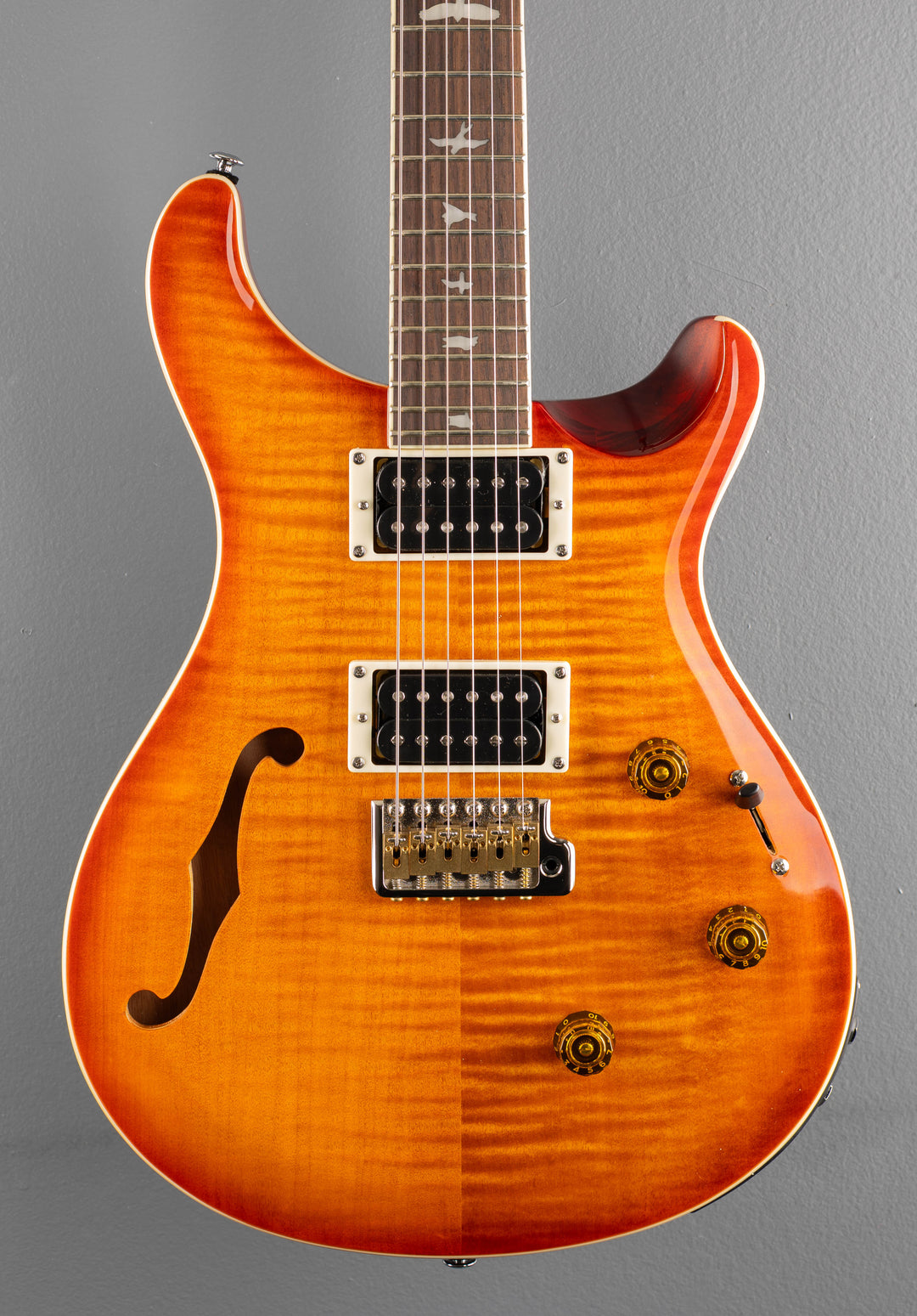 SE Custom 24 Semi Hollow Piezo &