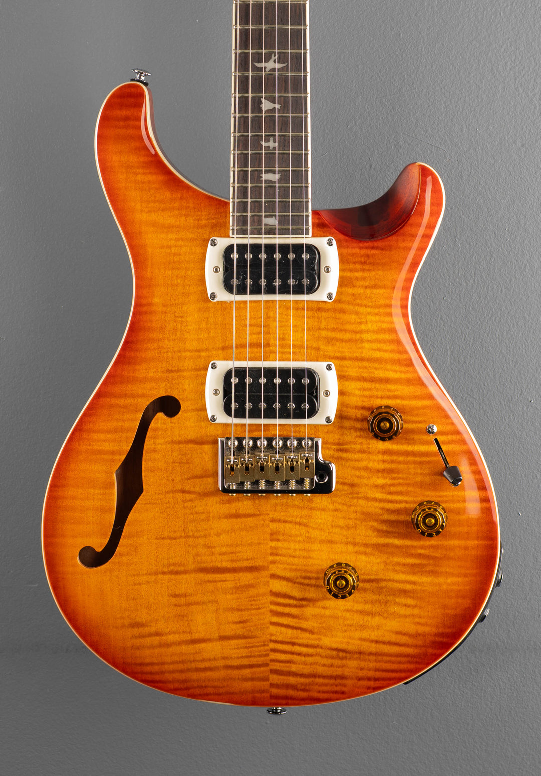 SE Custom 24 Semi Hollow Piezo, &