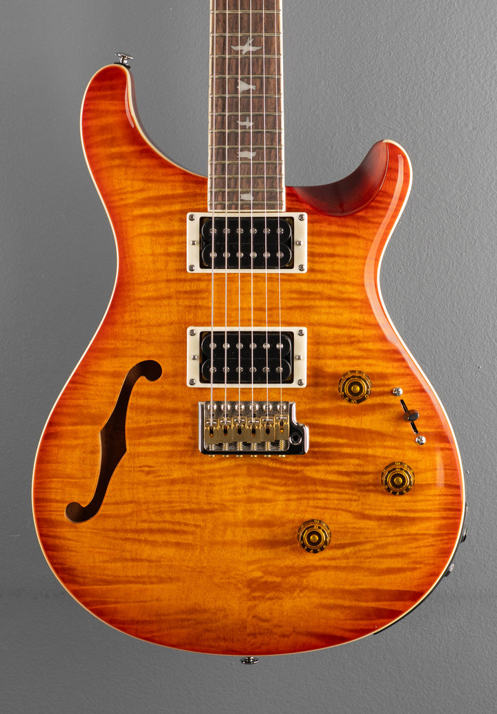 SE Custom 24 Semi Hollow Piezo, &