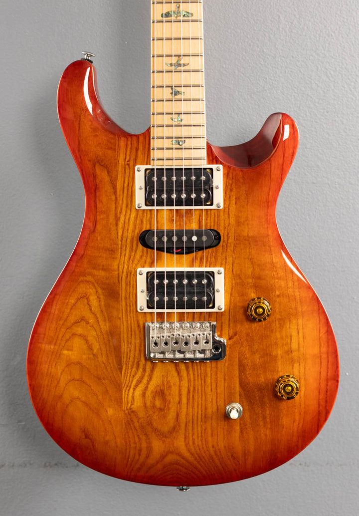 SE Swamp Ash Special '24