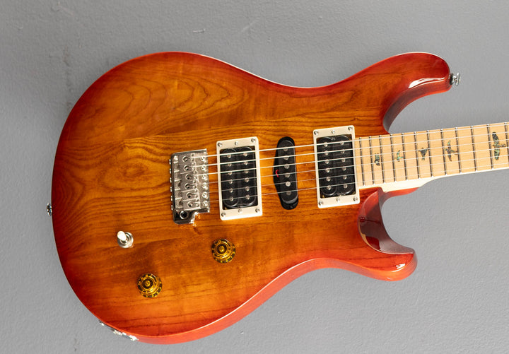 SE Swamp Ash Special '24