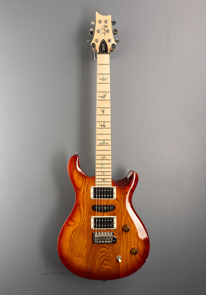 SE Swamp Ash Special '24