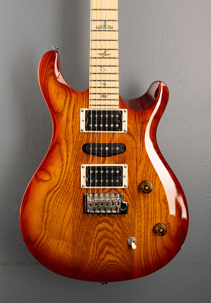 SE Swamp Ash Special '24