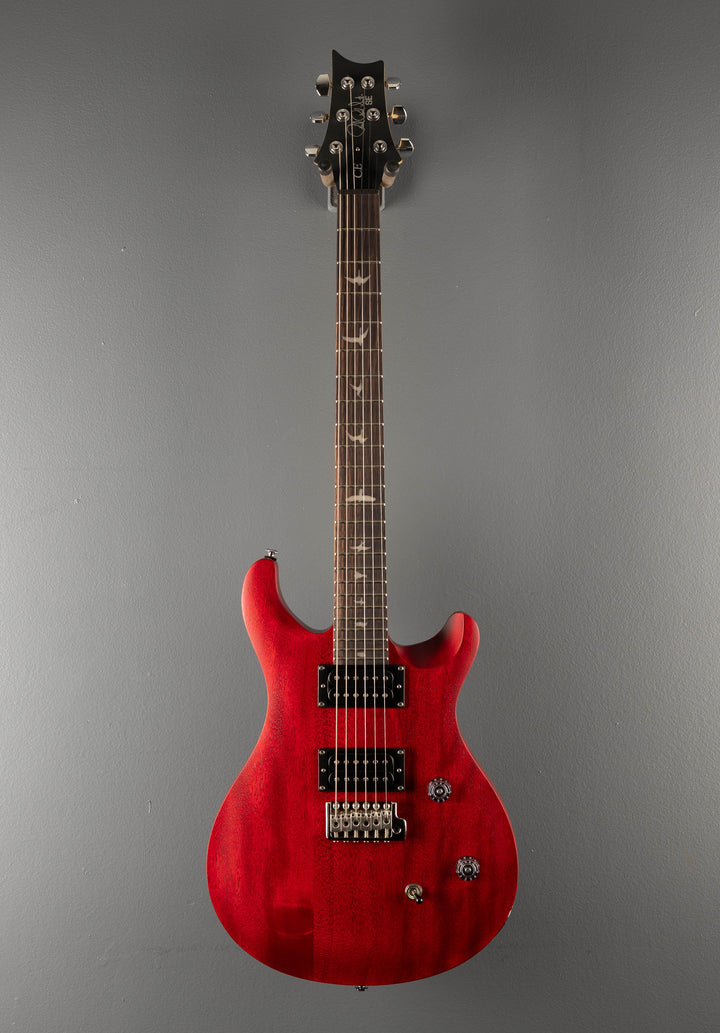 SE CE-24 Standard Satin '24