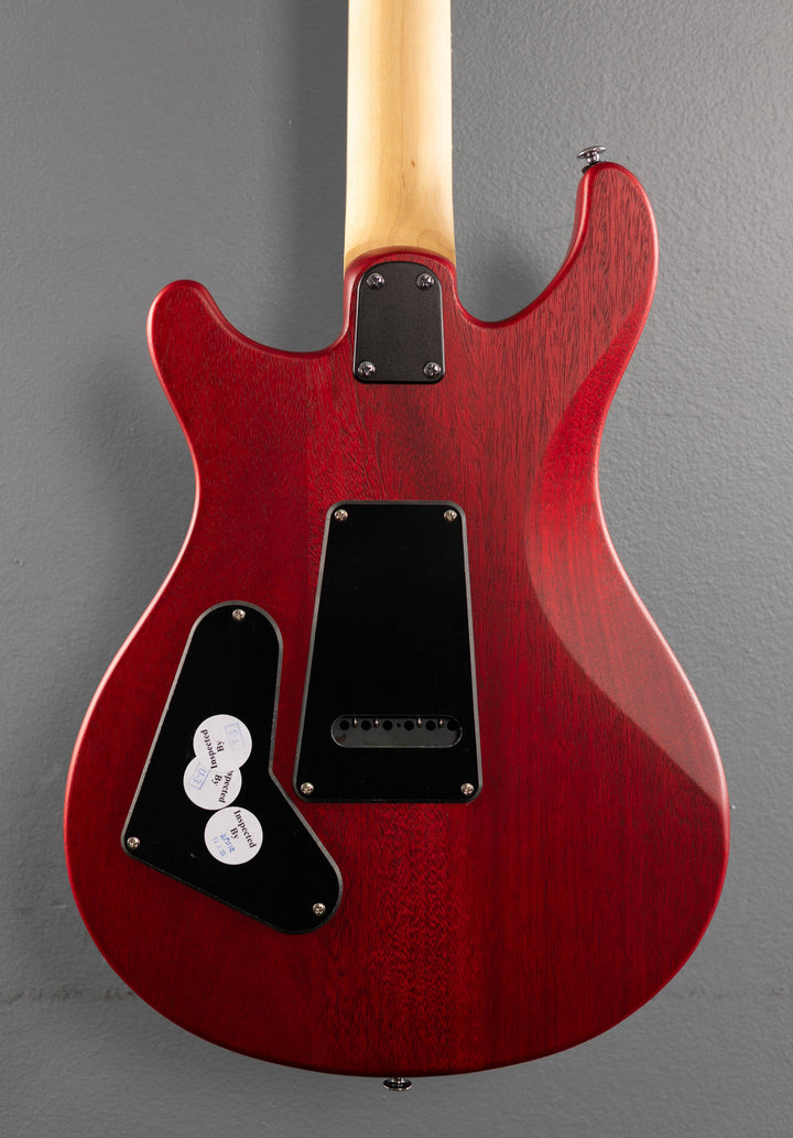 SE CE-24 Standard Satin '24