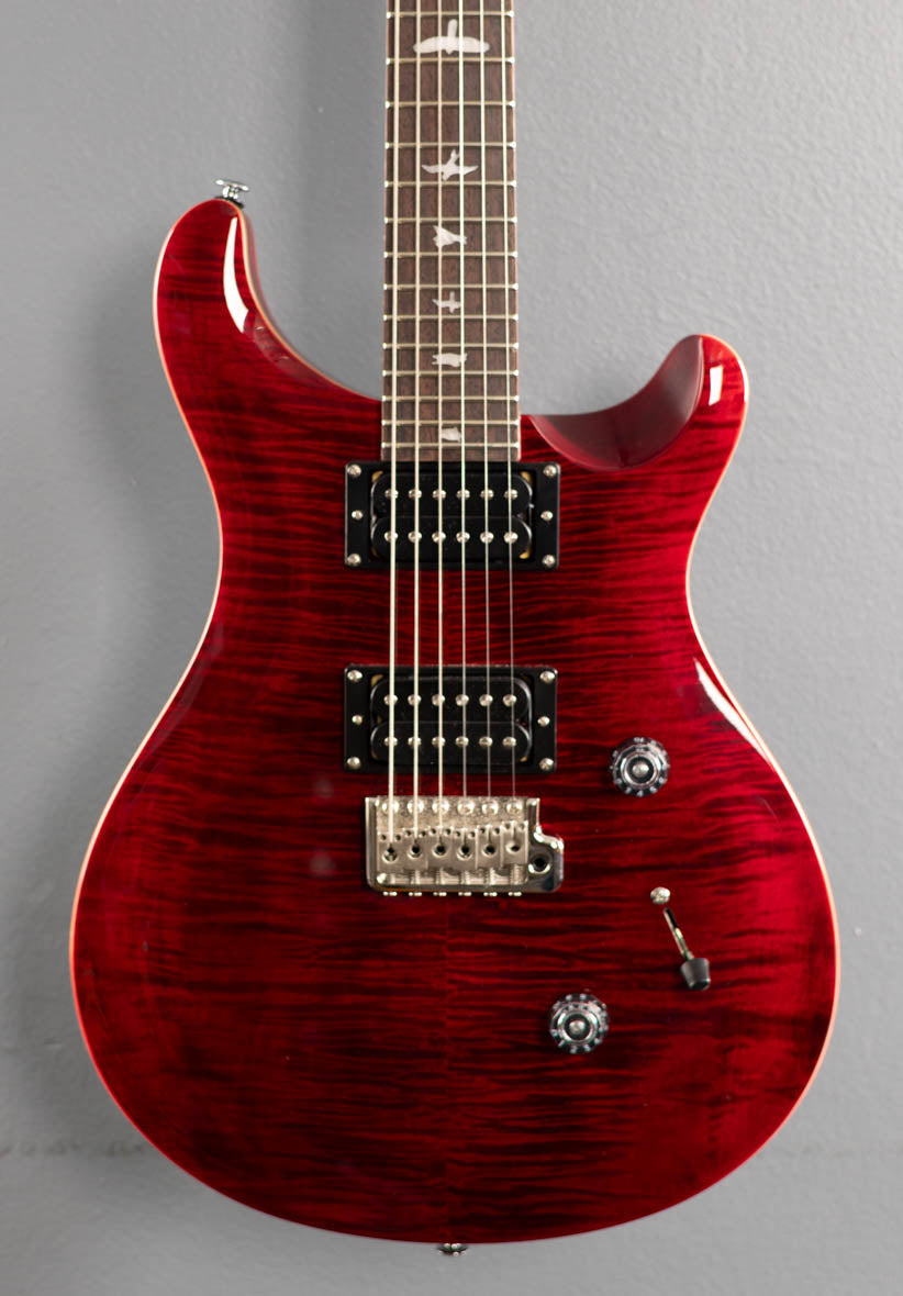 SE Custom 24 Limited '24