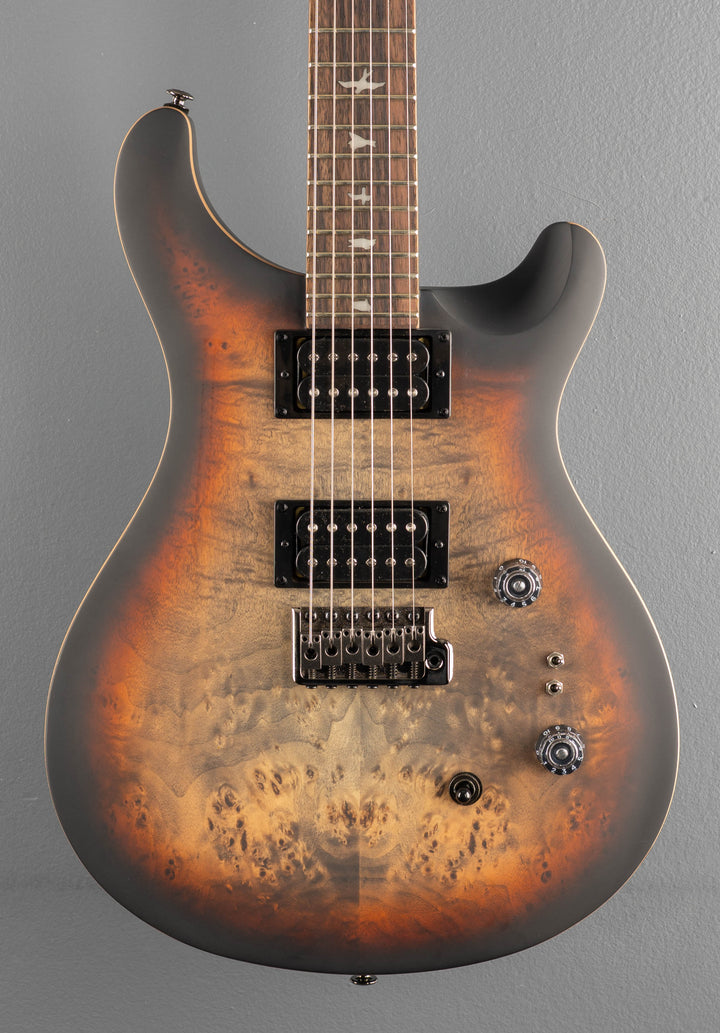 SE Custom 24-08 Poplar Burl Limited Edition, &