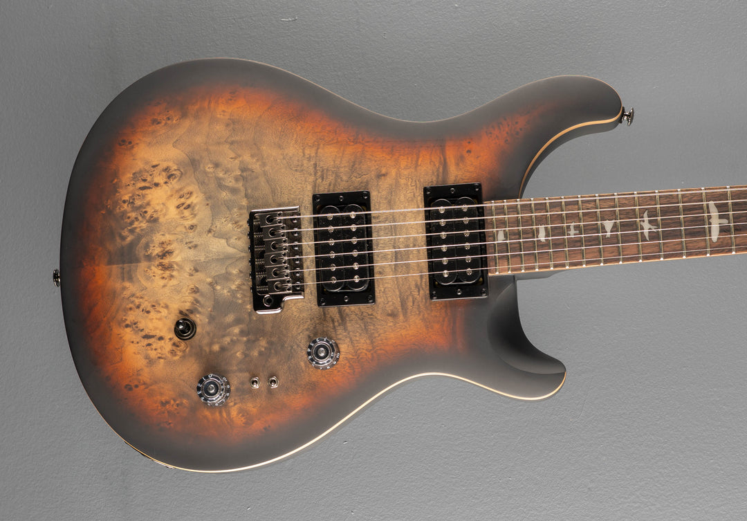 SE Custom 24-08 Poplar Burl Limited Edition, &