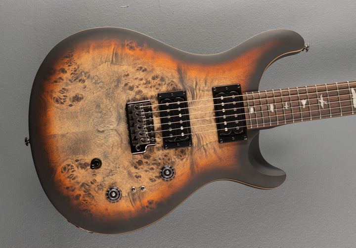 SE Custom 24-08 Poplar Burl Limited Edition, '24