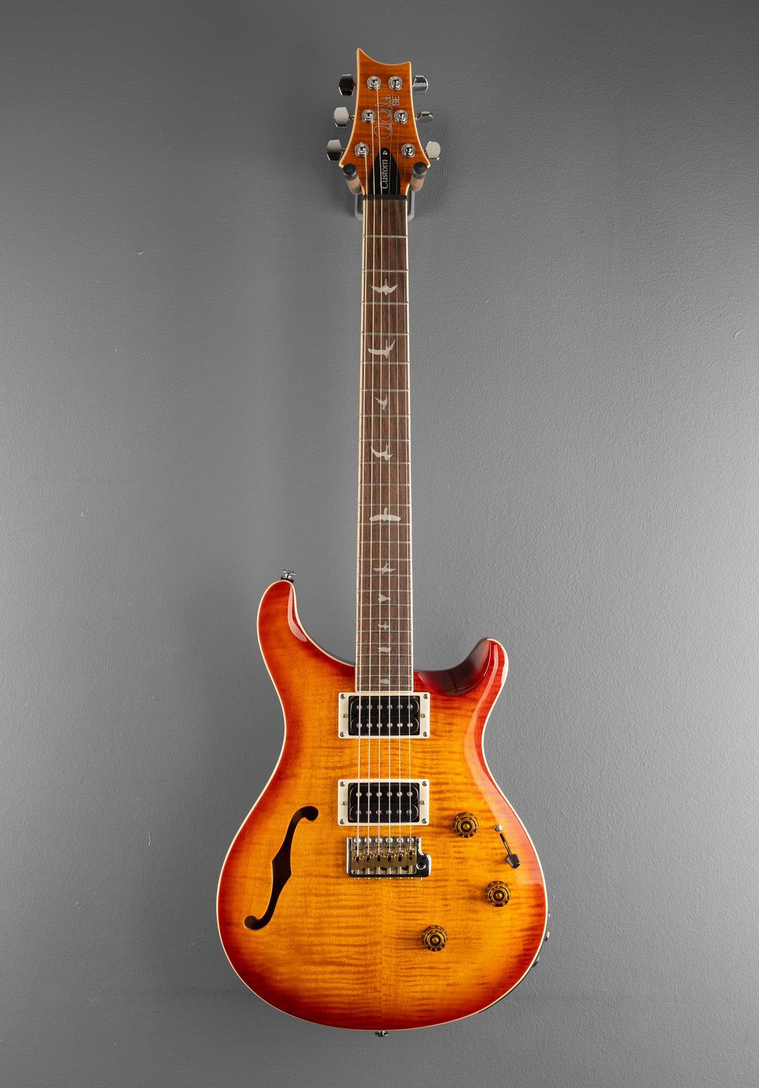 SE Custom 24 Semi Hollow Piezo &