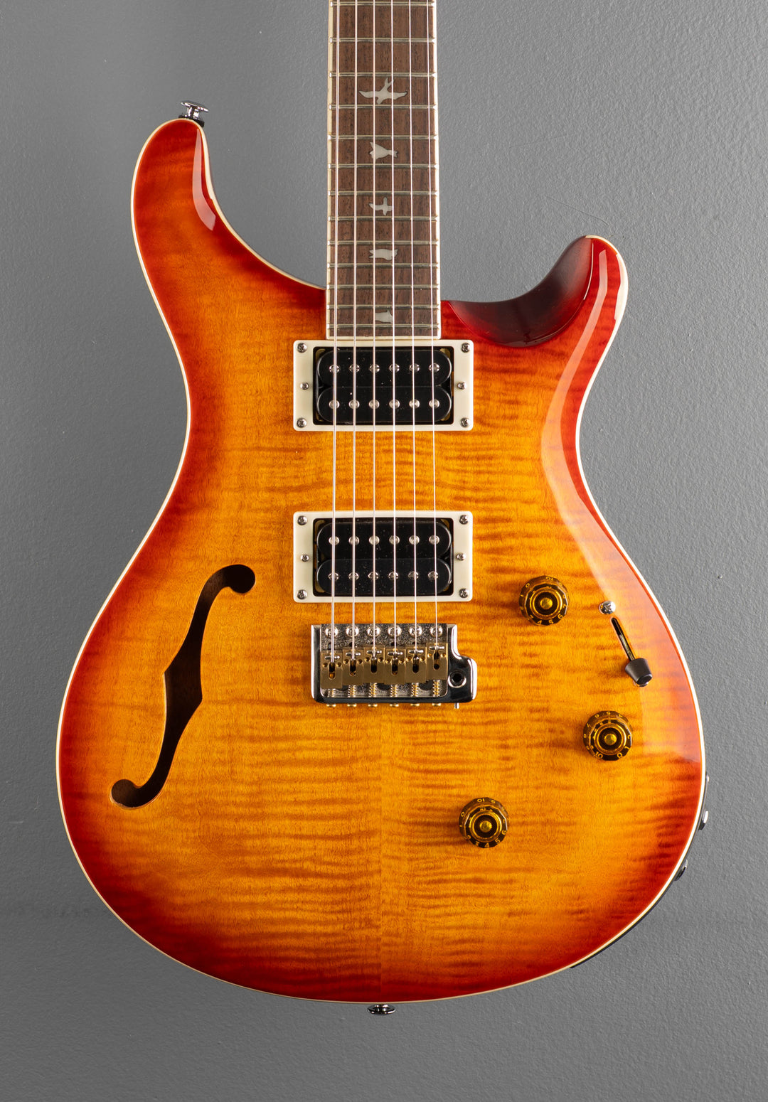 SE Custom 24 Semi Hollow Piezo &