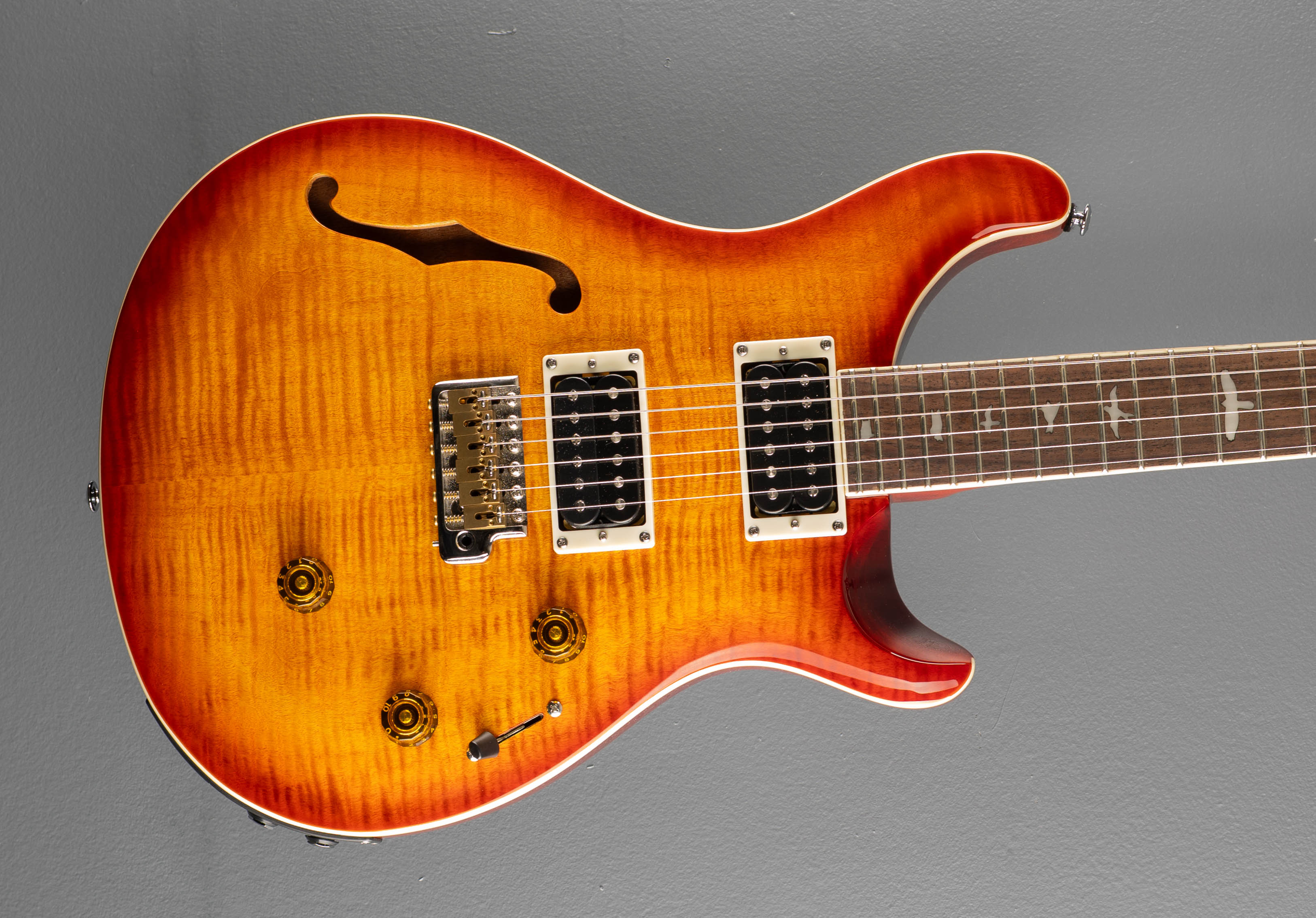 SE Custom 24 Semi Hollow Piezo '24 – Dave's Guitar Shop