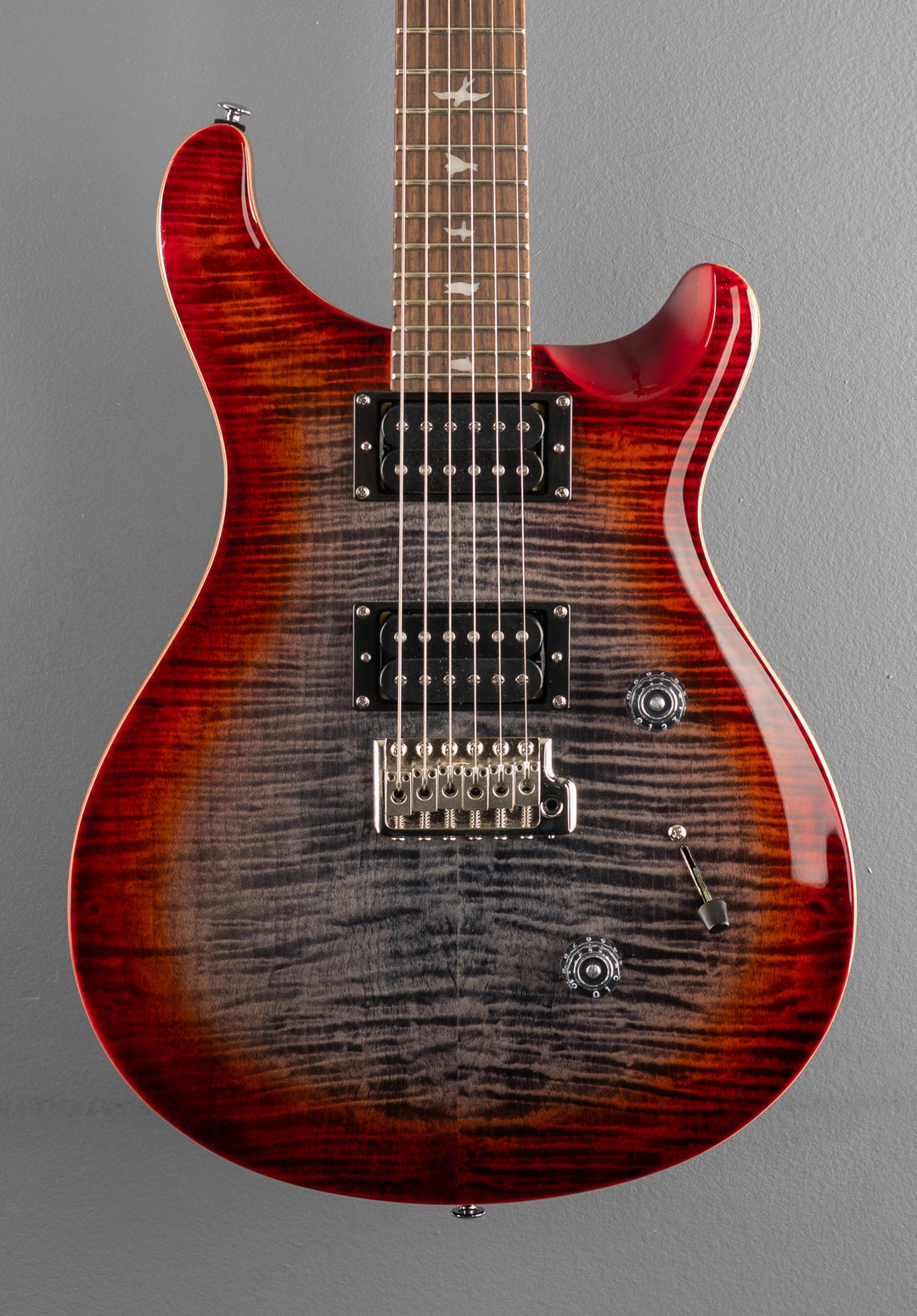 SE Custom 24 &
