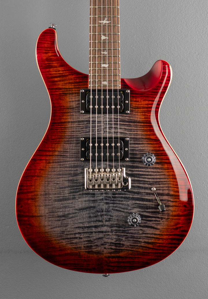 SE Custom 24 &