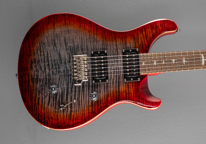 SE Custom 24 &