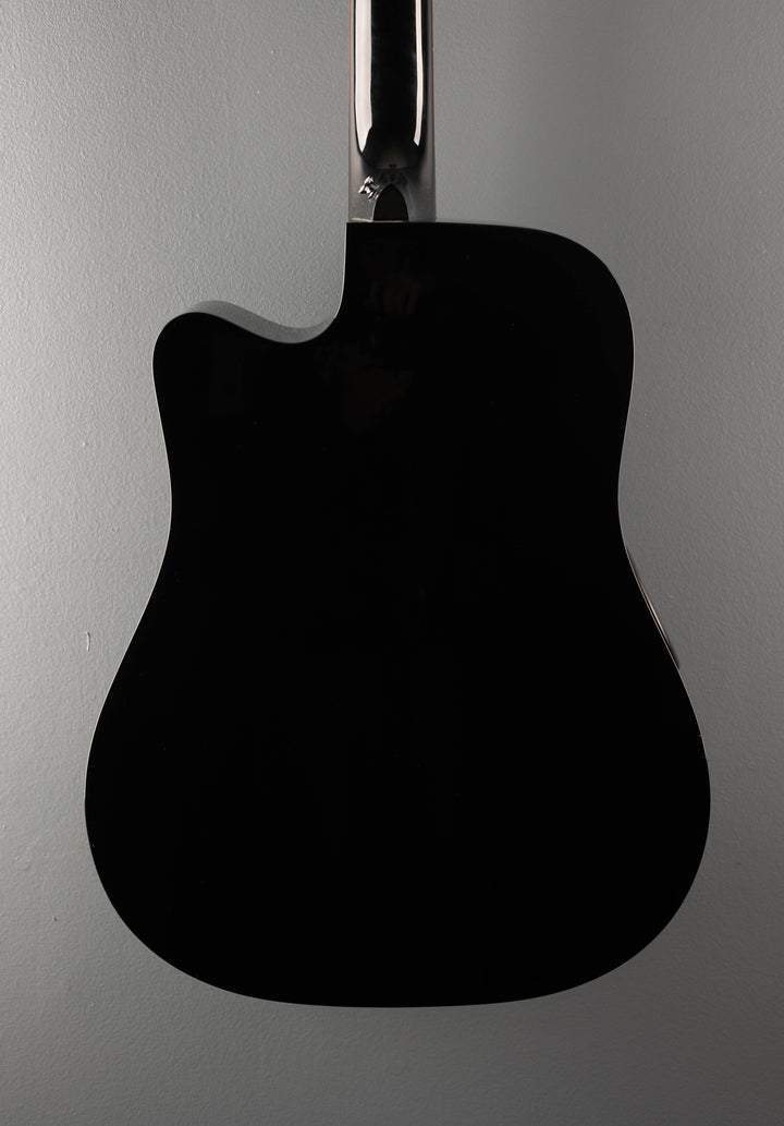 Solitaire ECR1-B12 12-String, Recent