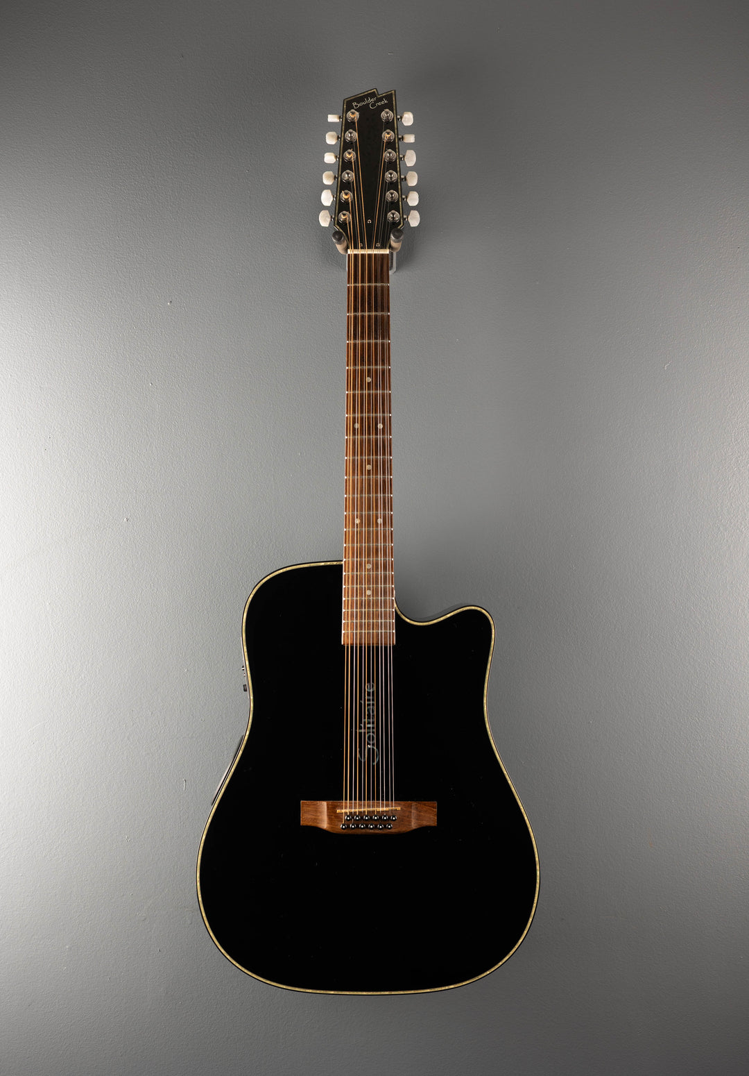 Solitaire ECR1-B12 12-String, Recent