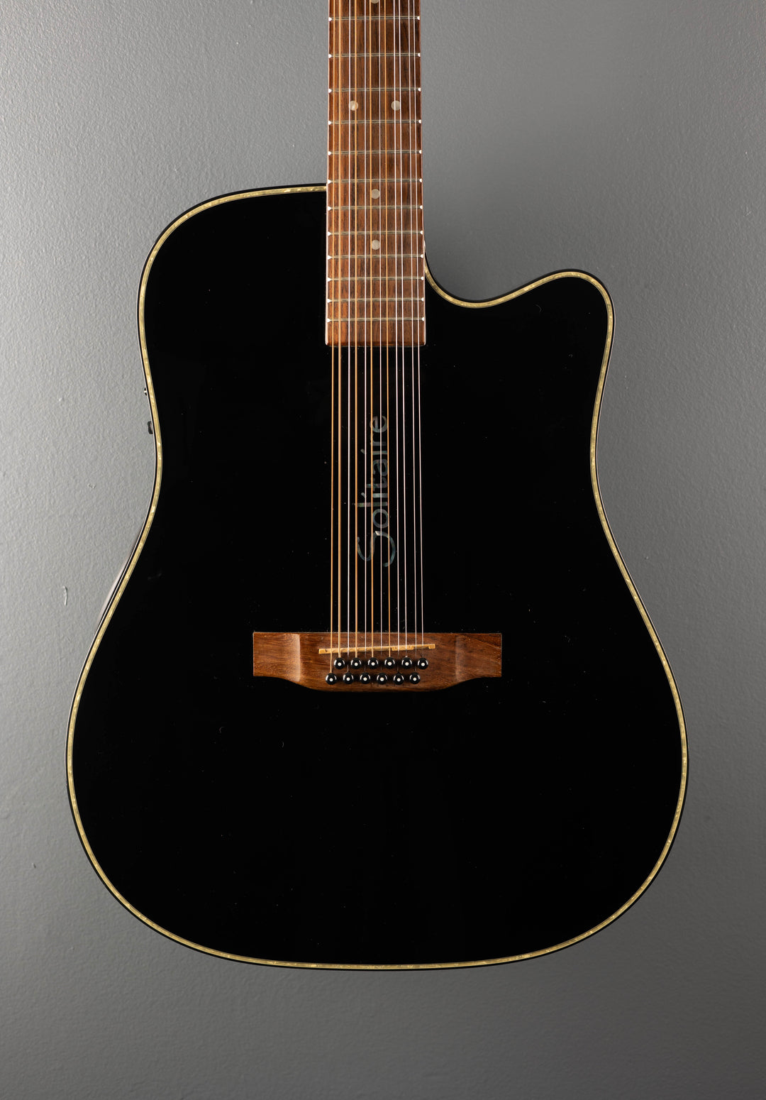 Solitaire ECR1-B12 12-String, Recent