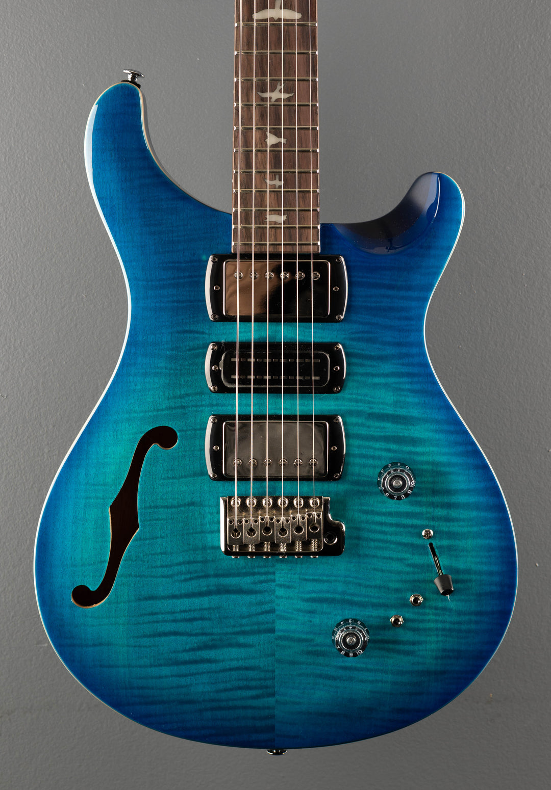 SE Special Semi Hollow, '24