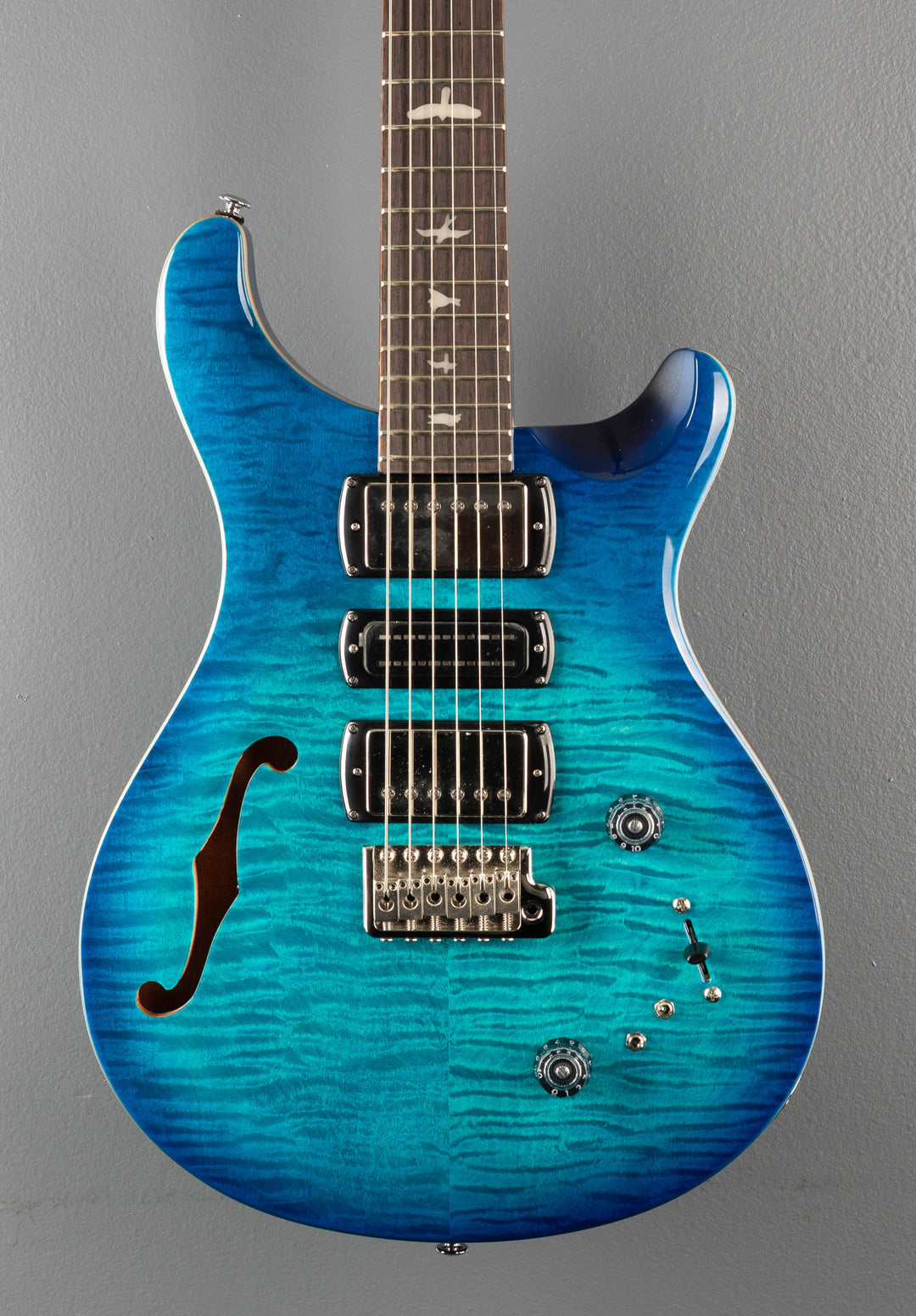 SE Special Semi Hollow, '24