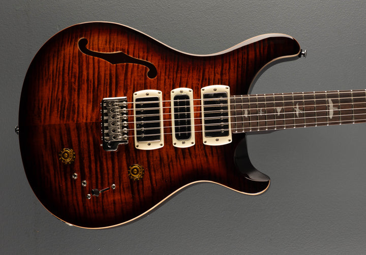 SE Special Semi Hollow, '25