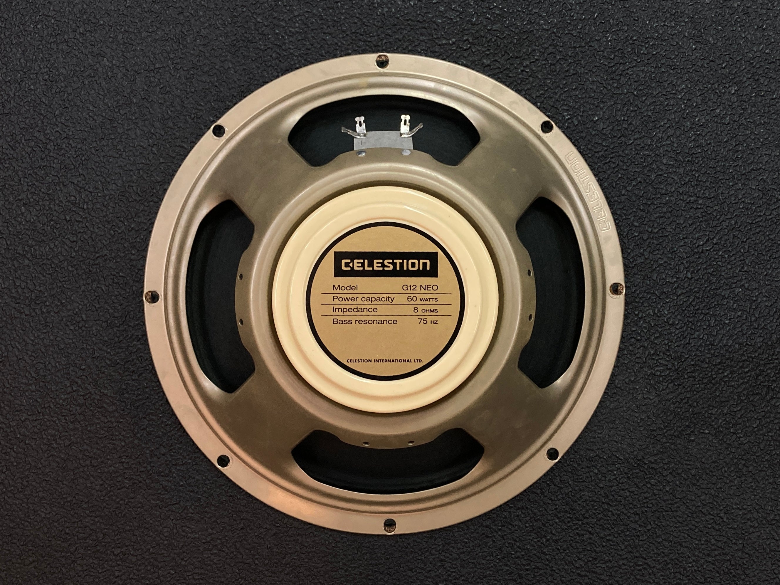 G12 NEO Creamback 12