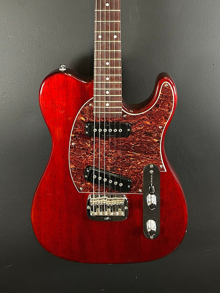 Tribute Series ASAT Classic &