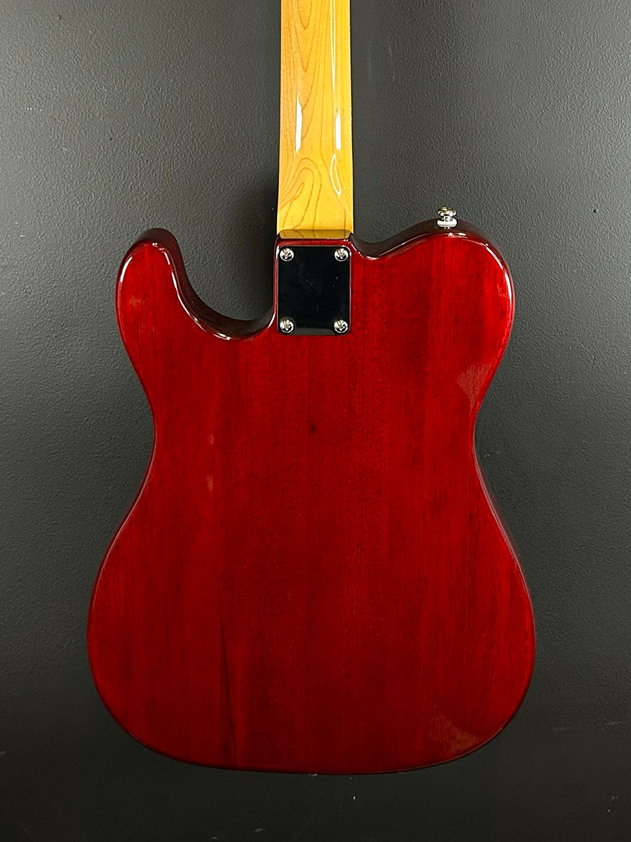 Tribute Series ASAT Classic &