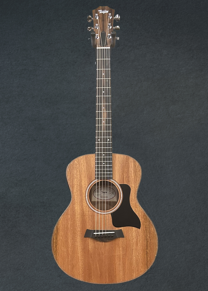 GS Mini-E Mahogany, '26