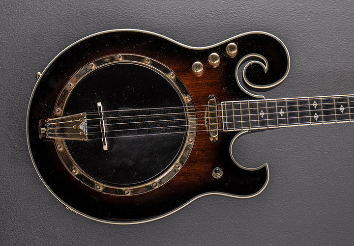 EBM-5 Electric Banjo, Recent