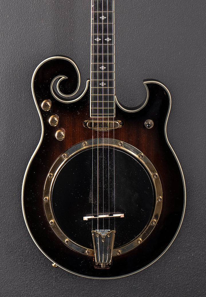 EBM-5 Electric Banjo, Recent