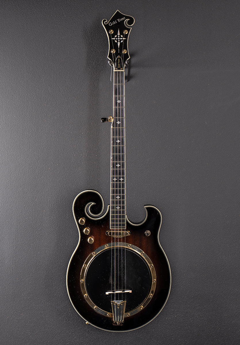 EBM-5 Electric Banjo, Recent