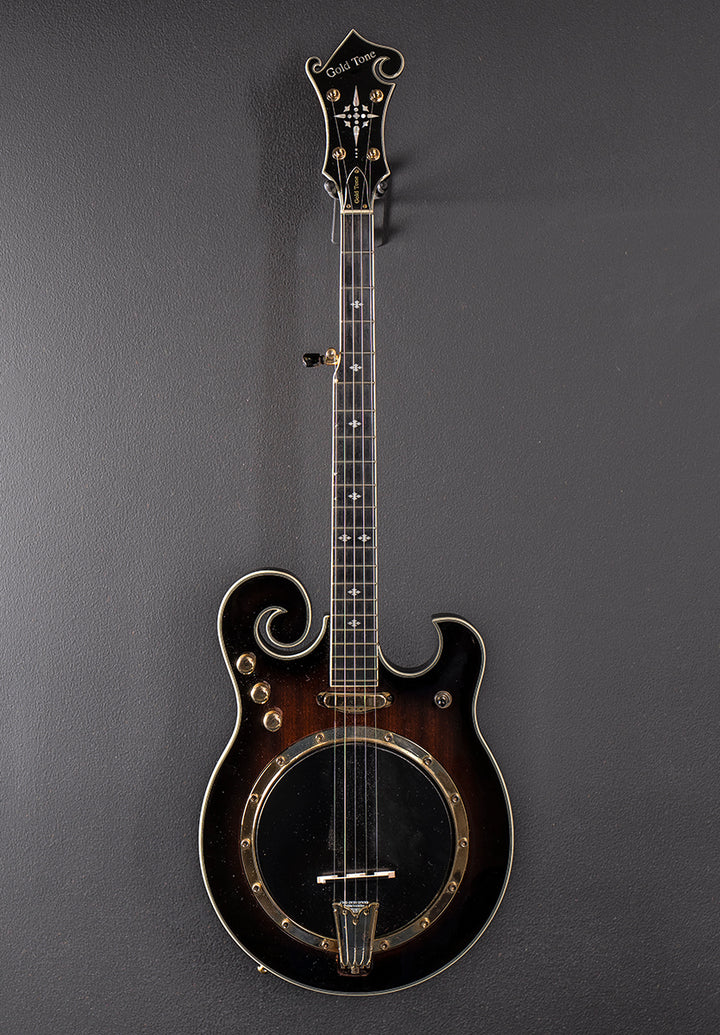 EBM-5 Electric Banjo, Recent