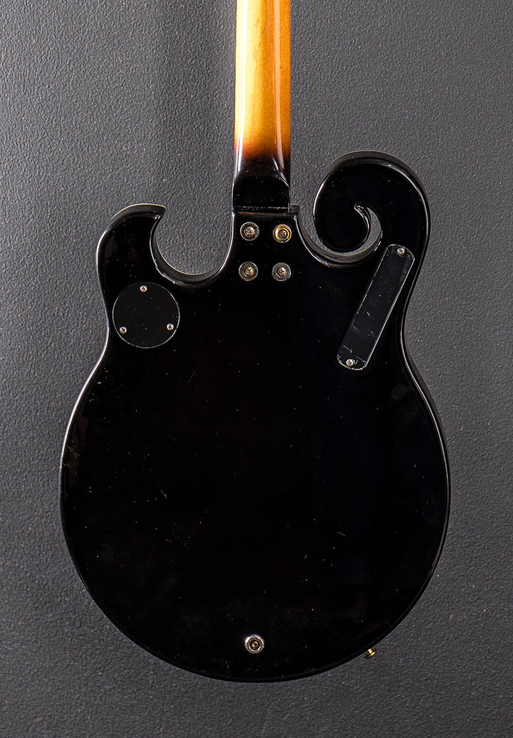 EBM-5 Electric Banjo, Recent