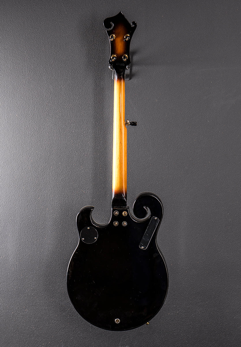 EBM-5 Electric Banjo, Recent