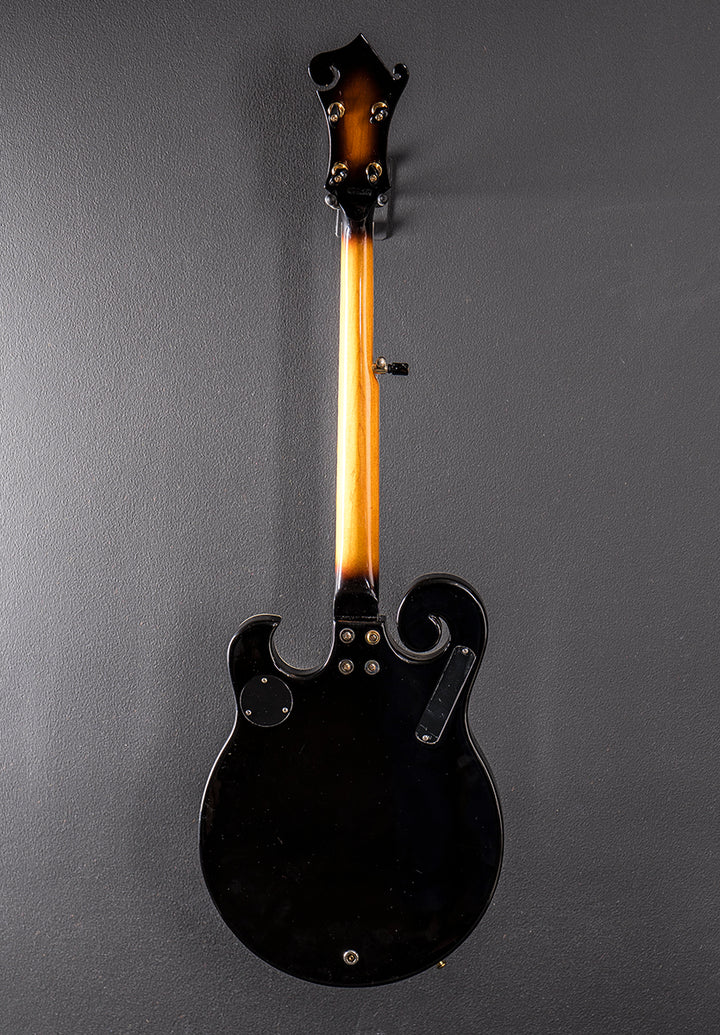 EBM-5 Electric Banjo, Recent