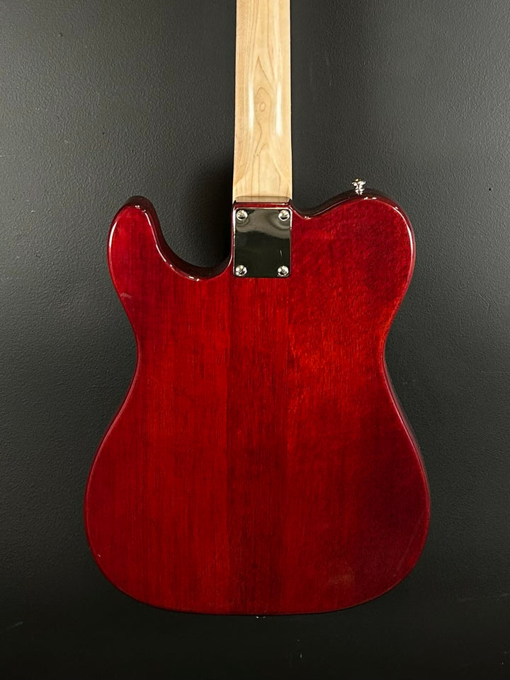 Tribute Series Partscaster, Recent