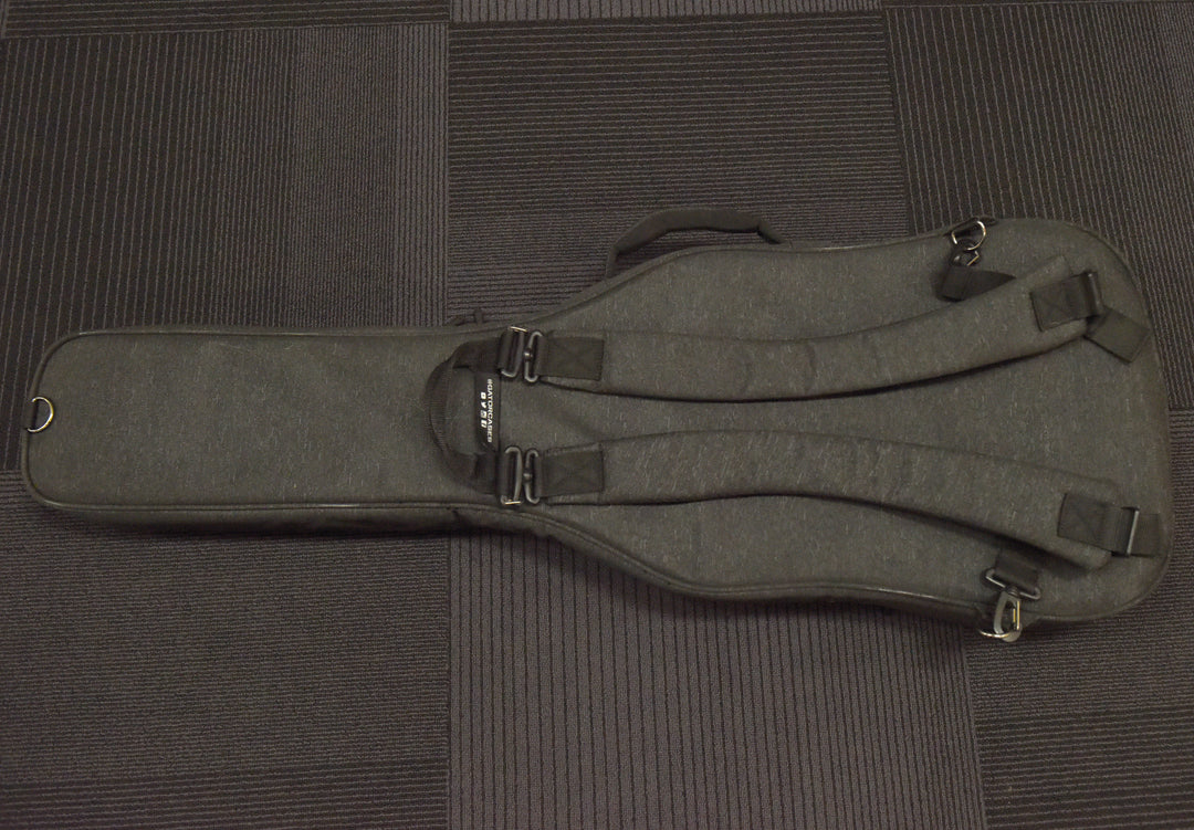 Transit Series Electric Deluxe Gigbag, Recent