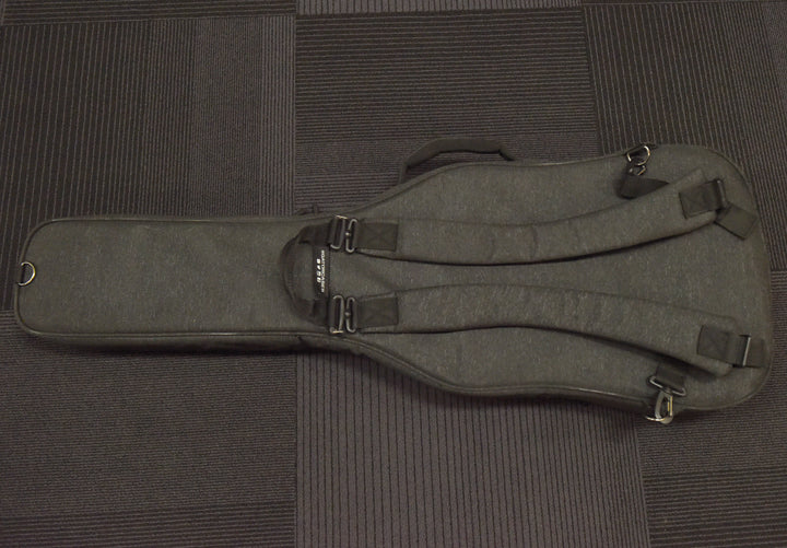 Transit Series Electric Deluxe Gigbag, Recent