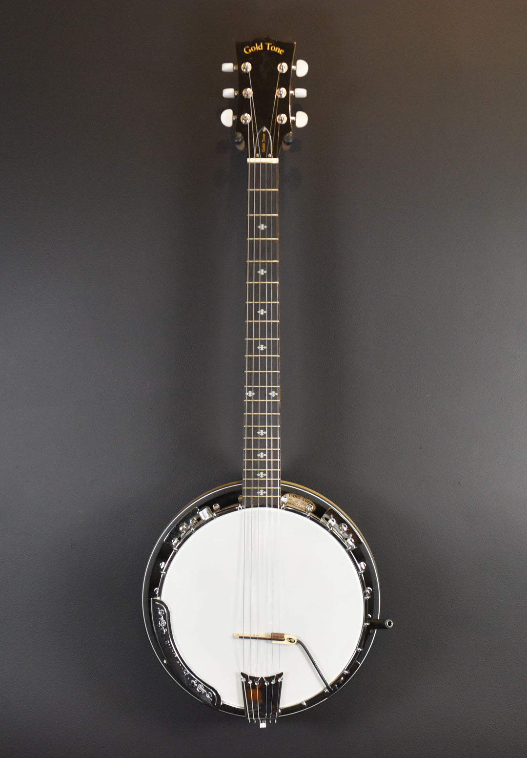 GT-500 6-String Banjitar, Recent