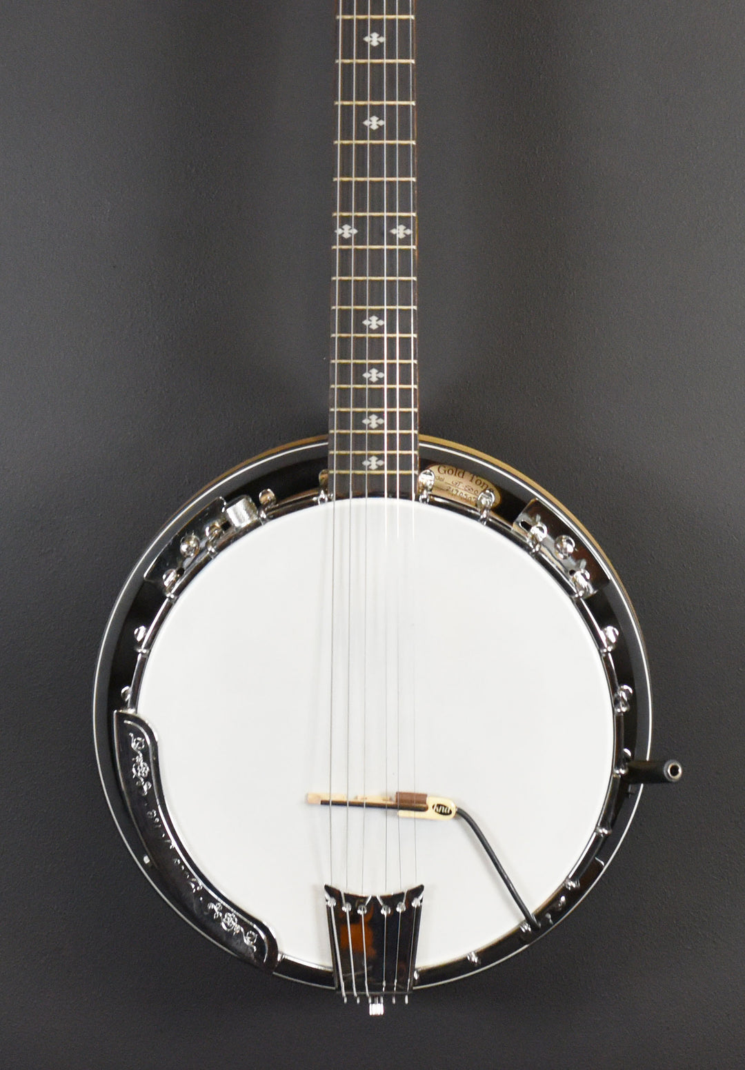 GT-500 6-String Banjitar, Recent