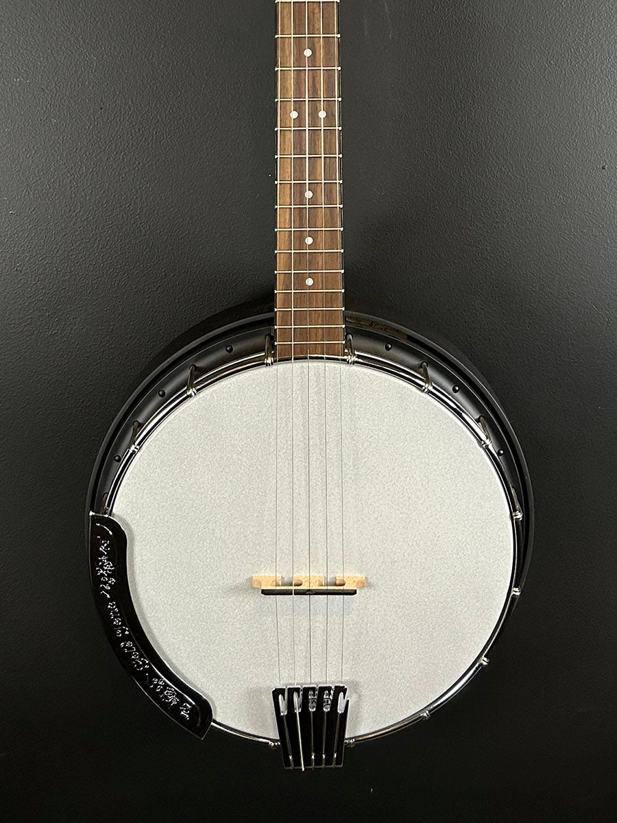AC-5 - 5 String Banjo, Recent