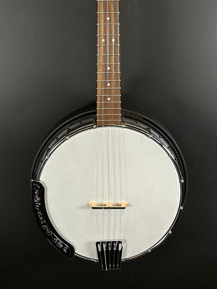 AC-5 - 5 String Banjo, Recent