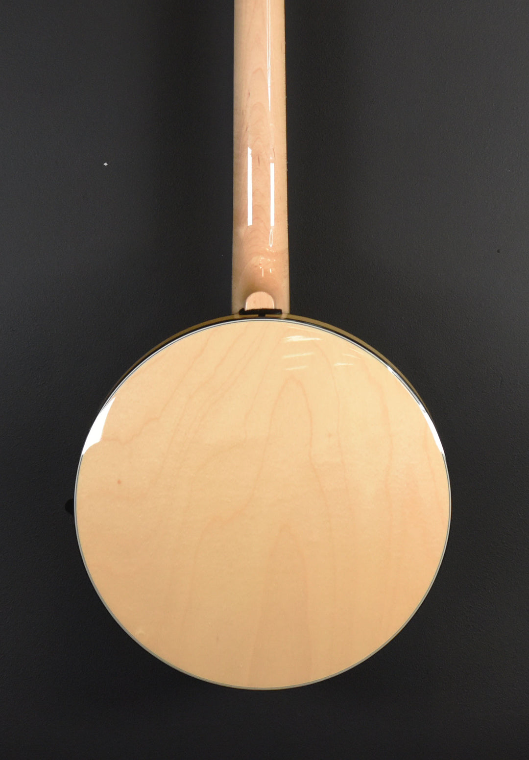 GT-500 6-String Banjitar, Recent