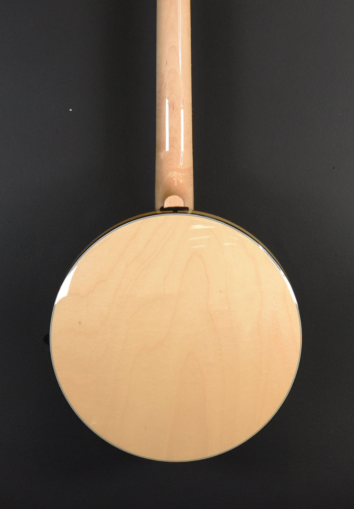 GT-500 6-String Banjitar, Recent