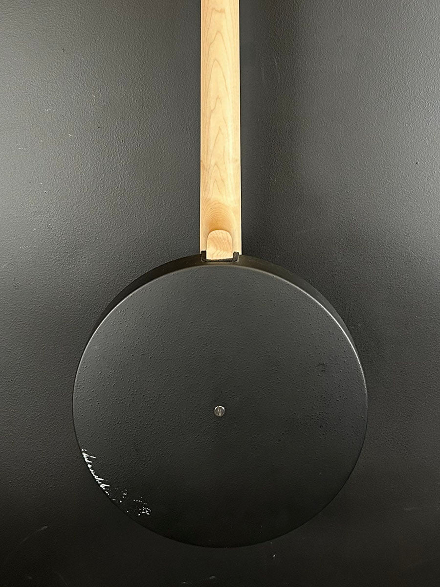 AC-5 - 5 String Banjo, Recent