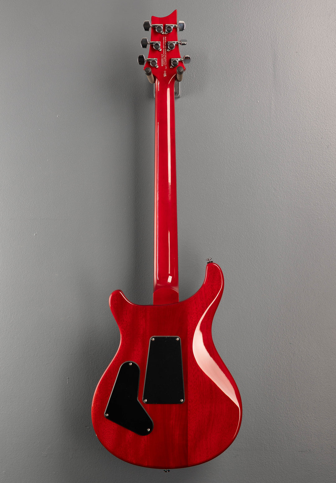 SE Custom 24 "Floyd" '25