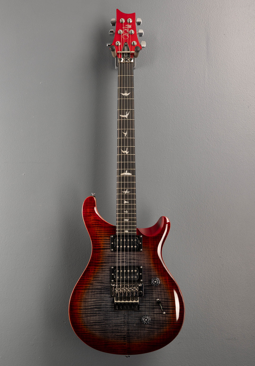 SE Custom 24 "Floyd" '25
