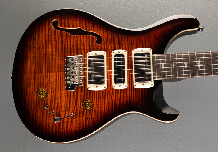 SE Special Semi Hollow, '25