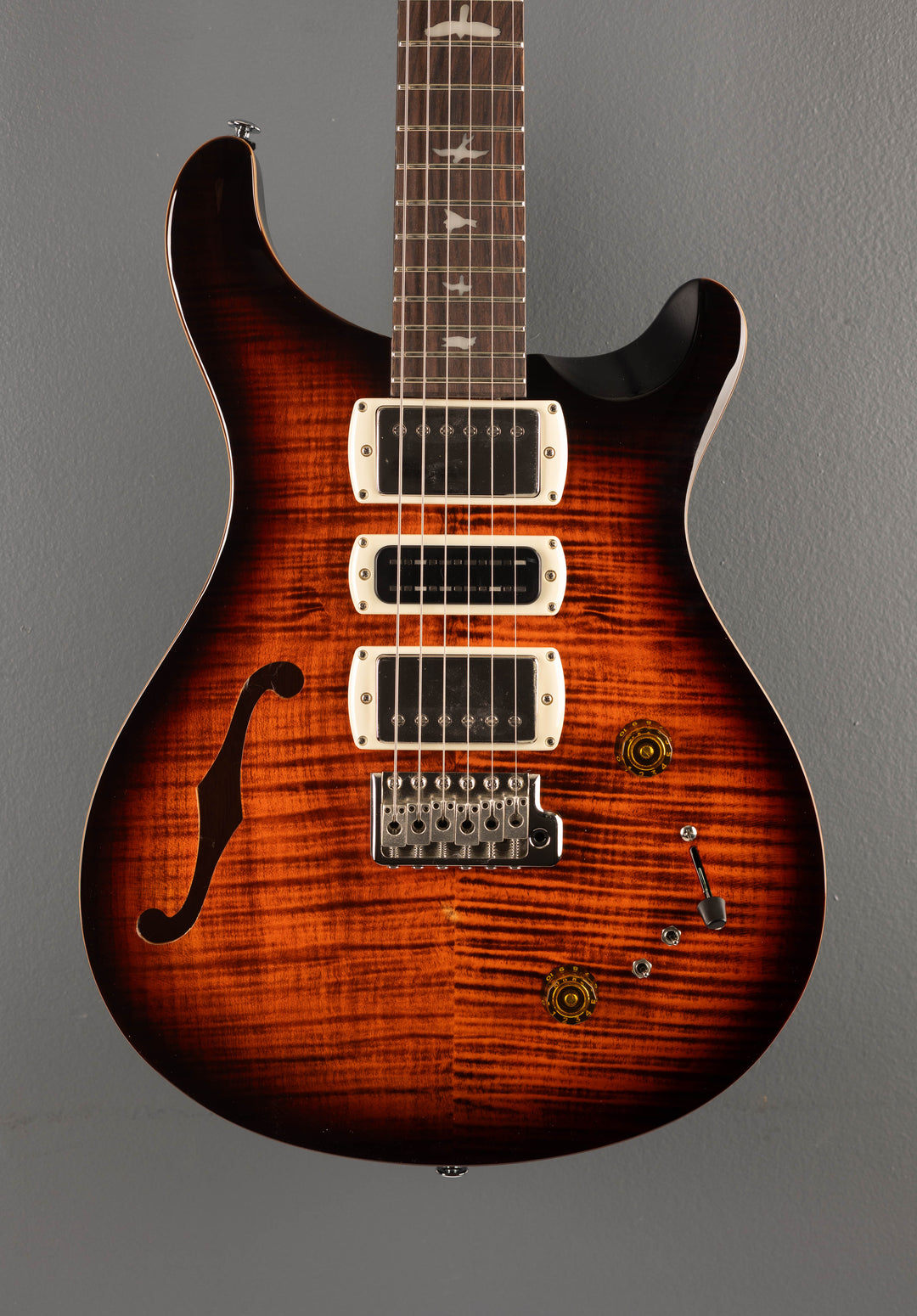 SE Special Semi Hollow, '25